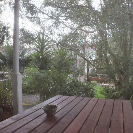 Oasis Accommodation Opotiki Buitenkant foto